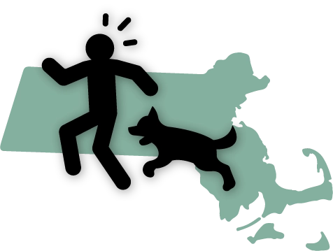 Attorneys for dog bites serving Massachusetts and New Hampshire