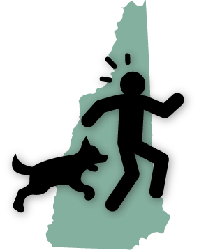 Attorneys for dog bites serving Massachusetts and New Hampshire
